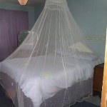 Mosquito net