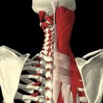 thoracic spine pain