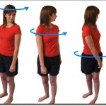 scoliosis exercices