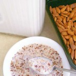 low carb cereal